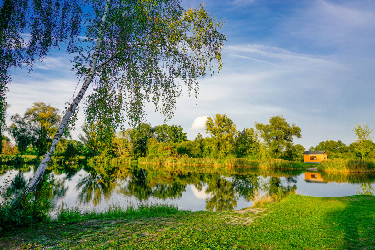 Niederstimmer Weiher